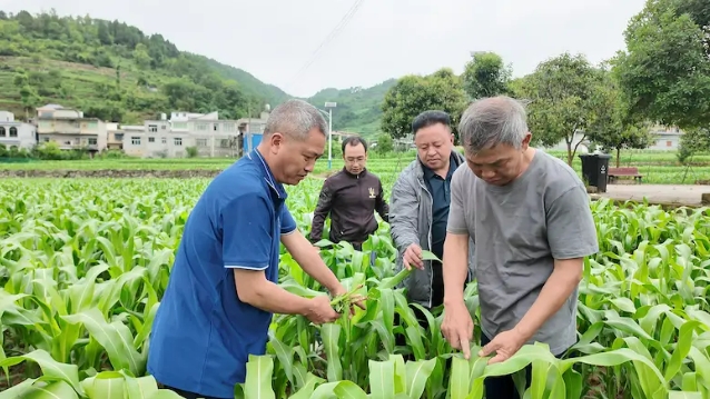 微信截图_20250626174555.png