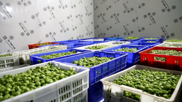 wechat_2025-09-15_154537_743.png